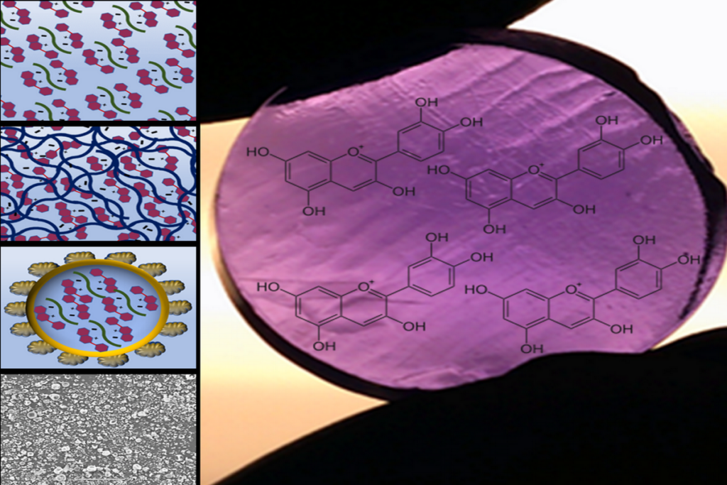 Surface Chemistry And Modification – The Abbaspourrad Lab